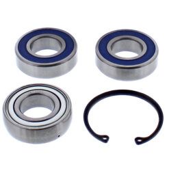 CHAIN CASE BEARING & SEAL KIT