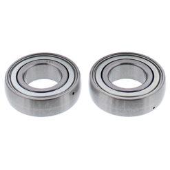 CHAIN CASE BEARING & SEAL KIT