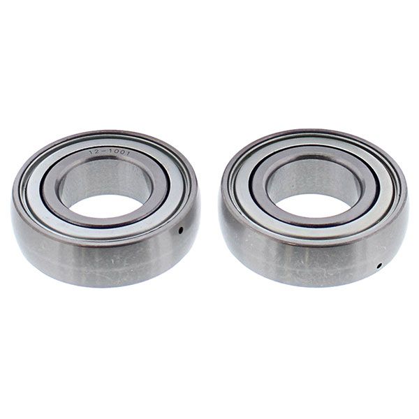 CHAIN CASE BEARING & SEAL KIT