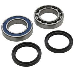 CHAIN CASE BEARING & SEAL KIT
