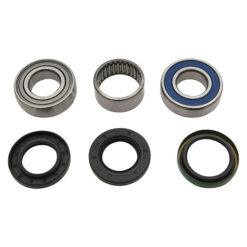 CHAIN CASE BEARING & SEAL KIT