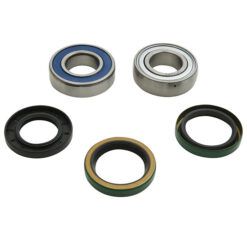 CHAIN CASE BEARING & SEAL KIT