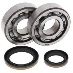 CRNKSHAFT BEARING/SEAL KTS SUZ