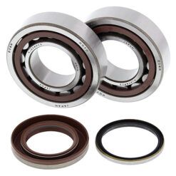 CRANK BEARING AND SEAL KIT