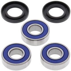 WHEEL BEARING KIT KAWYAM