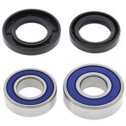 REPLACEMENT LENS-AMBER