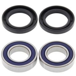 REPLACEMENT LENS-AMBER