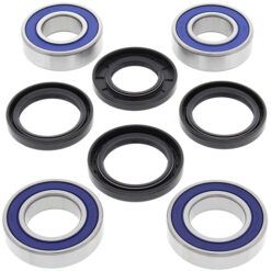 ALL BALLS WHEEL BEARING KIT RR