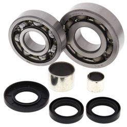DIFFER BEARING/SEAL KIT POLARI