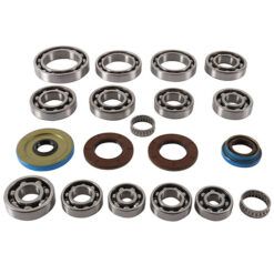 DIFFER BEARING/SEAL KIT POL