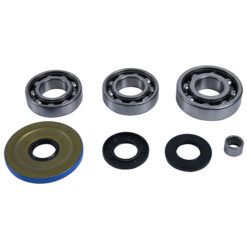 DIFFER BEARING/SEAL KIT