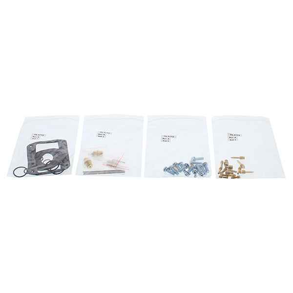 ALL BALLS SNOW CARB KIT POL