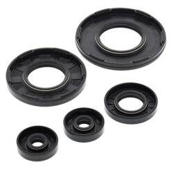 VERTEX ENGINE OIL SEAL KIT