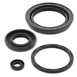 VERTEX ENGINE OIL SEAL KIT