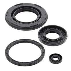 VERTEX ENGINE OIL SEAL KIT