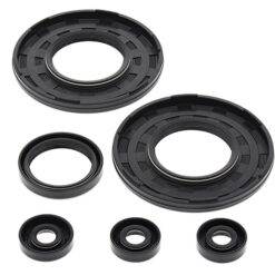 VERTEX ENGINE OIL SEAL KIT