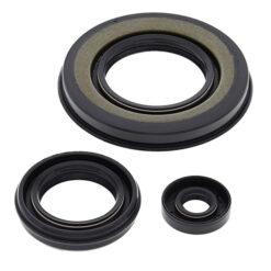 VERTEX ENGINE OIL SEAL KIT