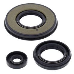 VERTEX ENGINE OIL SEAL KIT