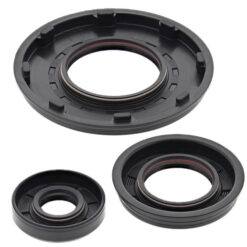 VERTEX ENGINE OIL SEAL KIT