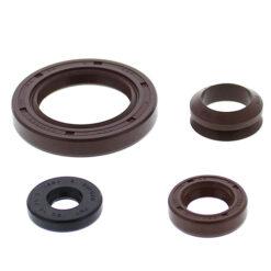 VERTEX ENGINE OIL SEAL KIT