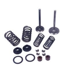 VALVE KIT V-250