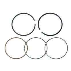 PISTON RINGS BRP  .020