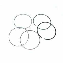 POL PISTON RINGS PREDATOR STD.