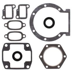 COMPLETE GASKET KT W/OIL SEALS