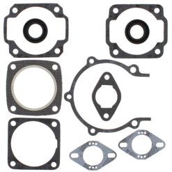 COMPLETE GASKET KT W/OIL SEALS