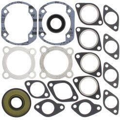 COMPLETE GASKET KT W/OIL SEALS