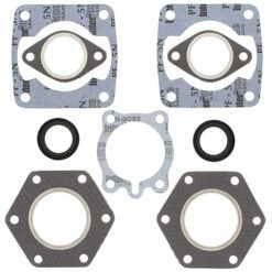 COMPLETE GASKET KT W/OIL SEALS