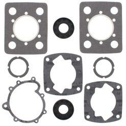 COMPLETE GASKET KT W/OIL SEALS