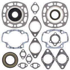 COMPLETE GASKET KT W/OIL SEALS