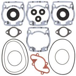 COMPLETE GASKET KT W/OIL SEALS