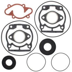 COMPLETE GASKET KT W/OIL SEALS