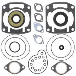 COMPLETE GASKET KT W/OIL SEALS
