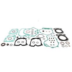 COMPLETE GASKET KT W/OIL SEALS