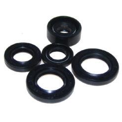 OIL SEAL KIT