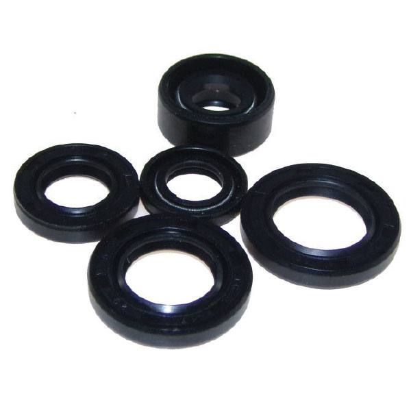 OIL SEAL KIT