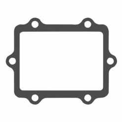 V-FORCE D3 REPLACEMENT GASKET