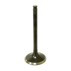 VALVE EXHAUST