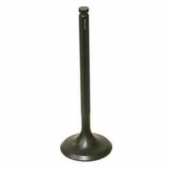 PSYCHIC EXHAUST VALVE R/T