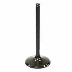 PSYCHIC INTAKE VALVE R/T