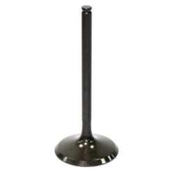 PSYCHIC INTAKE VALVE R/T