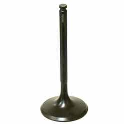 PSYCHIC INTAKE VALVE R/T