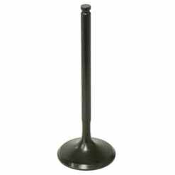 PSYCHIC INTAKE VALVE R/T