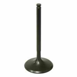 PSYCHIC INTAKE VALVE R/T