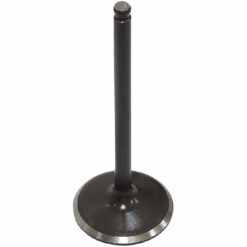 PSYCHIC INTAKE VALVE R/T
