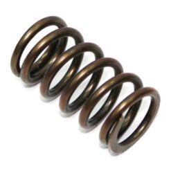 PSYCHIC EXST/INTK VALVE SPRING