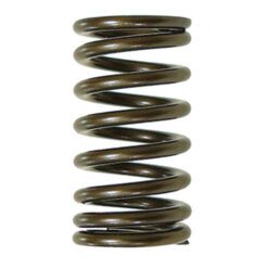 PSYCHIC EXHAUST VALVE SPRING